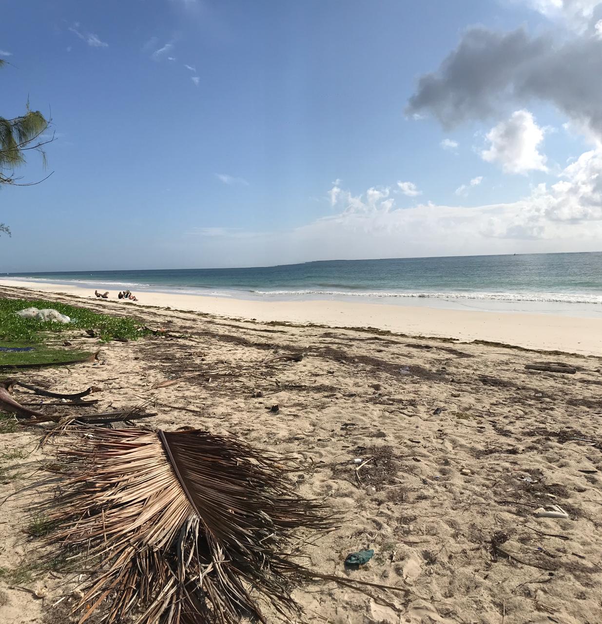 WhatsApp Image 2022-05-05 at 4.09.01 PM.jpeg